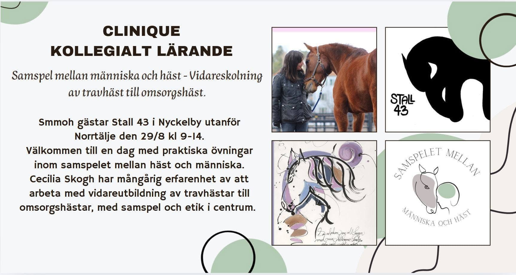 Clinic - Vidareutbildning av travhästar samt kollegialt lärande